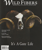 Cover of american magazine and in the article on swedish gute sheep